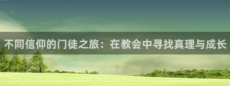 赢咖体育平台登录入口：不同信仰的门徒之旅：在教会中寻找真理与成长