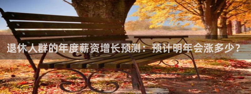 赢咖4平台：退休人群的年度薪资增长预测：预计明年会涨多少？