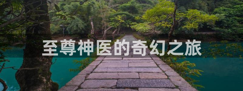 赢咖平台主管：至尊神医的奇幻之旅