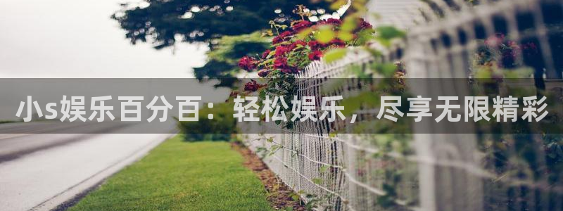 赢咖：小s娱乐百分百：轻松娱乐，尽享无限精彩