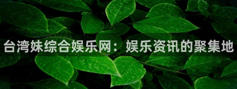 赢咖体育官网入口登录：台湾妹综合娱乐网：娱乐资讯的聚集地