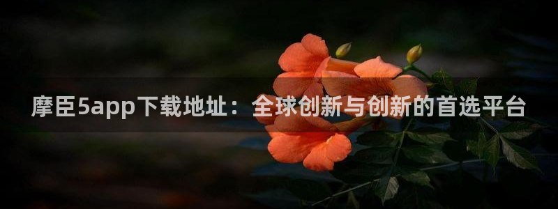 赢咖体育合法嘛：摩臣5app下载地址：全球创新与创新的首选平台