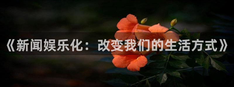 赢咖平台开户：《新闻娱乐化：改变我们的生活方式》
