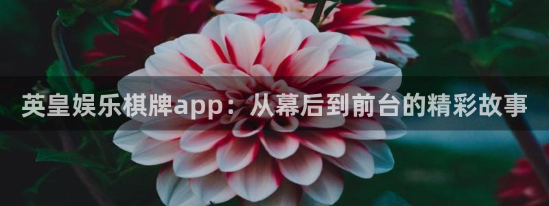 赢咖2代理注册：英皇娱乐棋牌app：从幕后到前台的精彩故事