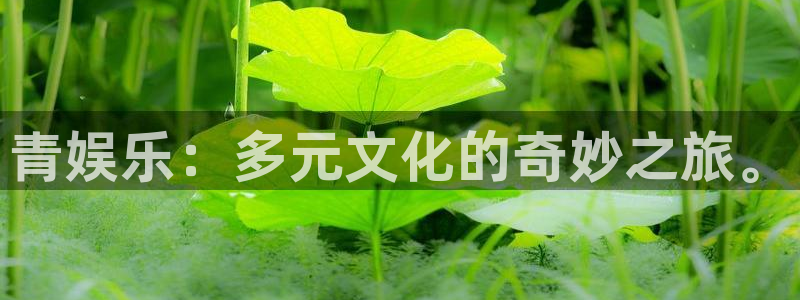 赢咖能源：青娱乐：多元文化的奇妙之旅。
