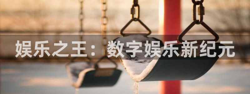 赢咖官网：娱乐之王：数字娱乐新纪元