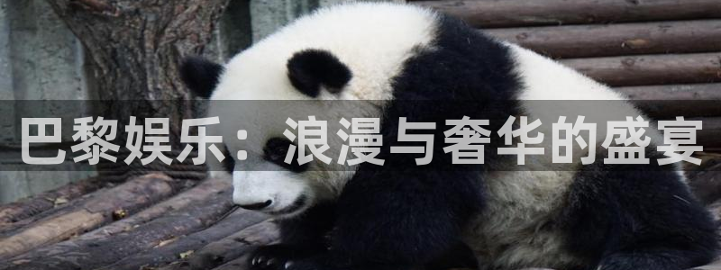 赢咖官网：巴黎娱乐：浪漫与奢华的盛宴