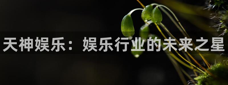 赢咖凯捷平台：天神娱乐：娱乐行业的未来之星