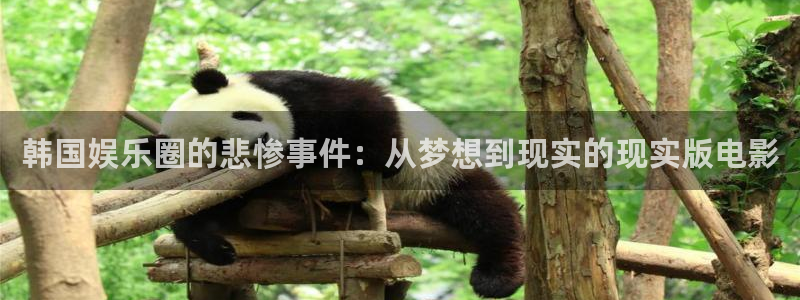 赢咖体育在线注册：韩国娱乐圈的悲惨事件：从梦想到现实的现实版电影