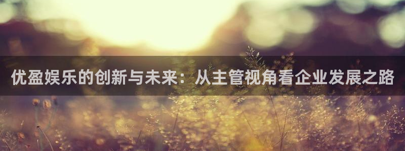 赢咖主管：优盈娱乐的创新与未来：从主管视角看企业发展之路