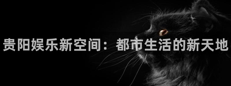 赢咖体育和杏耀是哪个公司的：贵阳娱乐新空间：都市生活的新天地