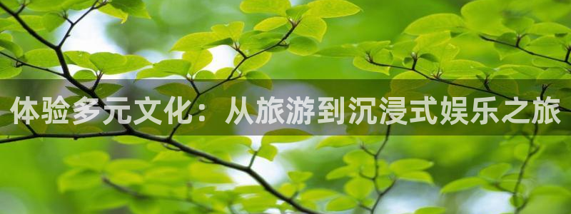 赢咖4代理