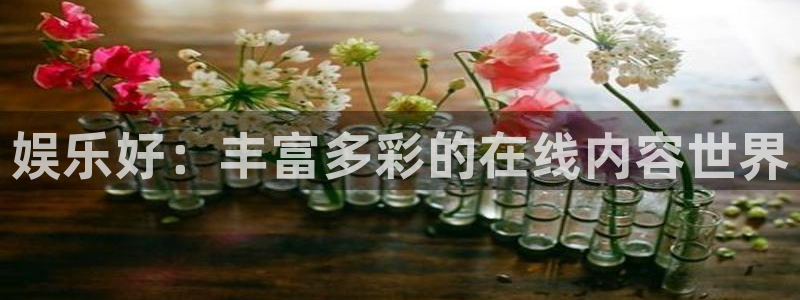 赢咖零能源集团：娱乐好：丰富多彩的在线内容世界