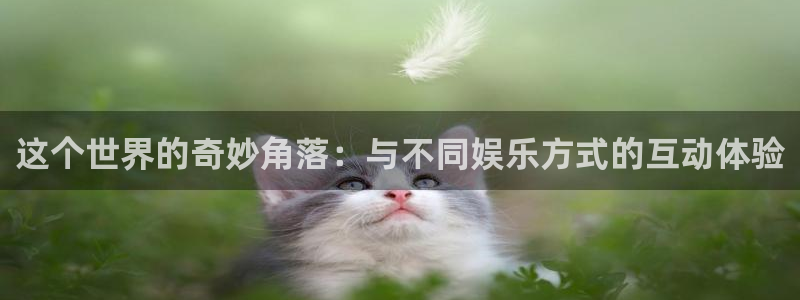 赢咖注册：这个世界的奇妙角落：与不同娱乐方式的互动体验