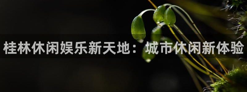 赢咖体育：桂林休闲娱乐新天地：城市休闲新体验
