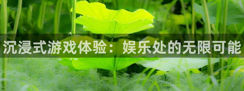 赢咖3平台登录注册：沉浸式游戏体验：娱乐处的无限可能
