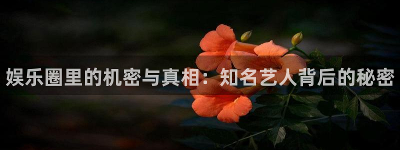 赢咖体育2：娱乐圈里的机密与真相：知名艺人背后的秘密