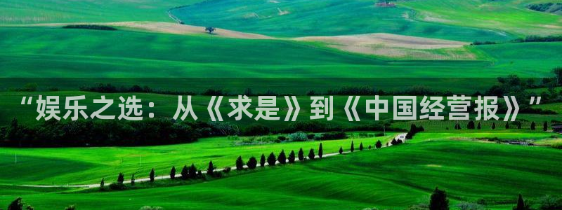 赢咖2登录：“娱乐之选：从《求是》到《中国经营报》”