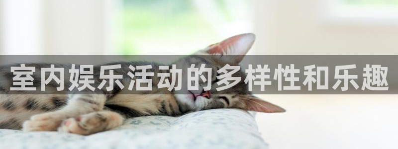赢咖平台：室内娱乐活动的多样性和乐趣