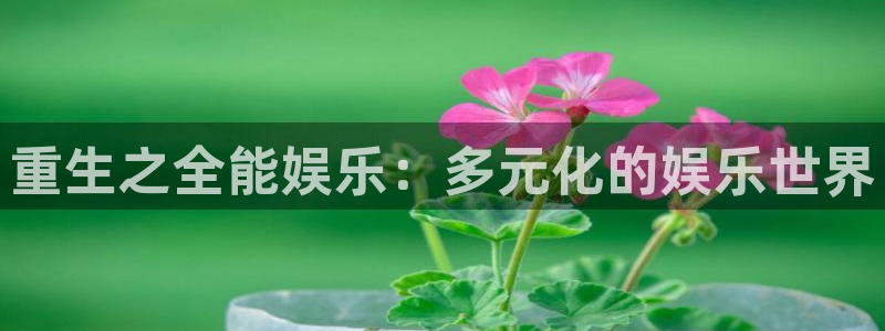 赢咖体育平台注册：重生之全能娱乐：多元化的娱乐世界